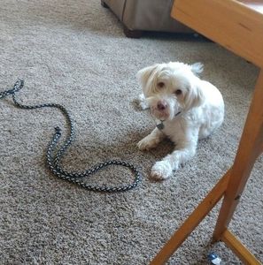 Meet your Posher, Jane